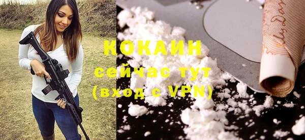spice Алексин